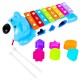 Xilofon, Ursulet + forme educative