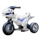 Motocicleta dinozaur cu acumulator, 2 motoare, 12V, 5A